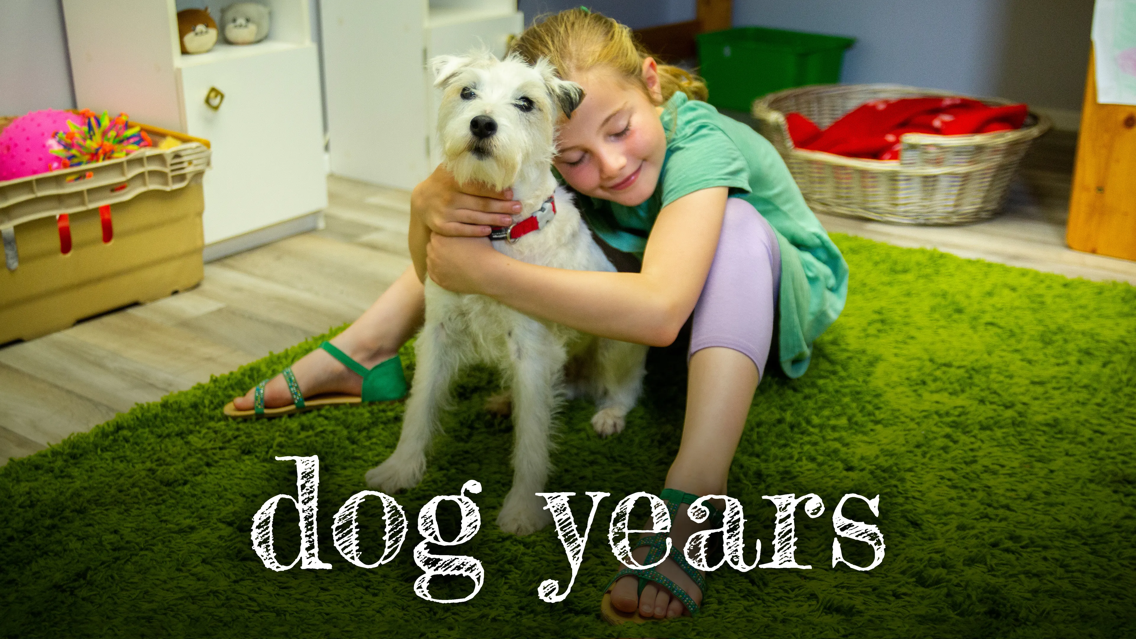 Dog Years poster